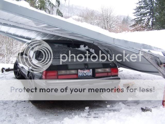 mustangsmash004.jpg