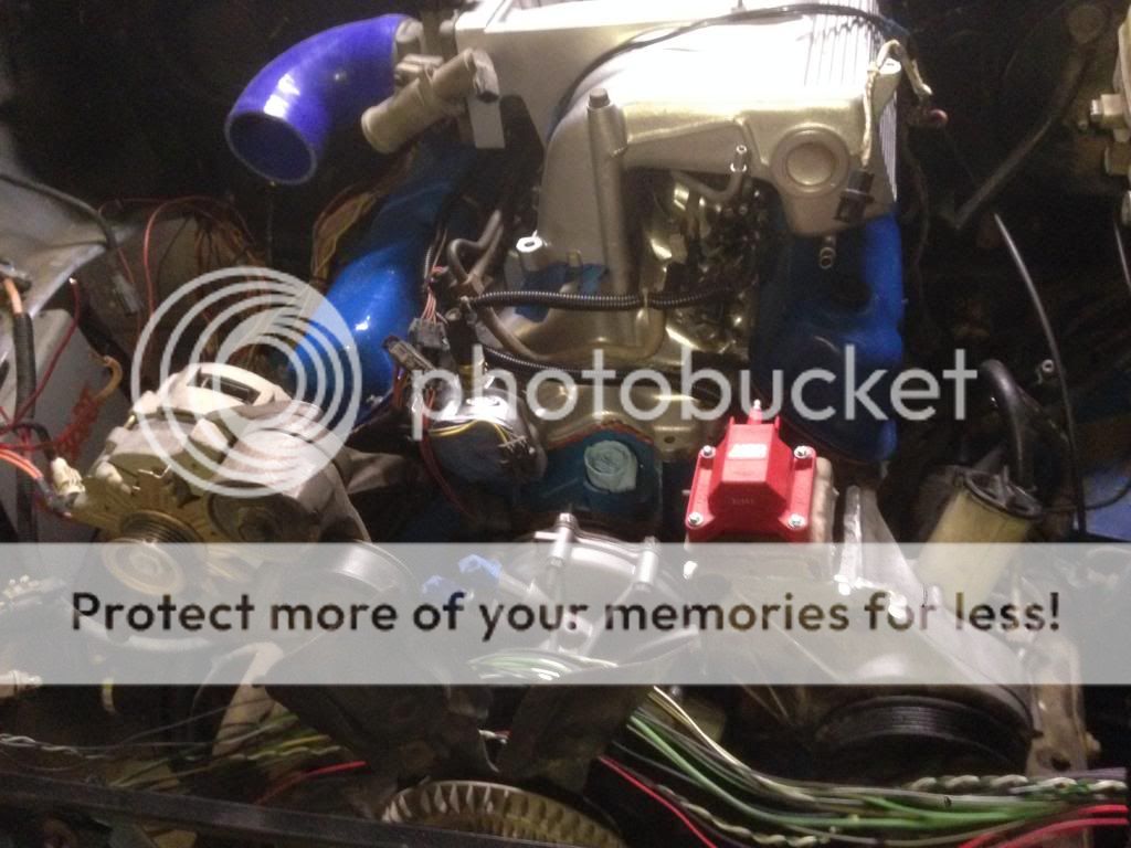 photo18_zps9c60e24a.jpg