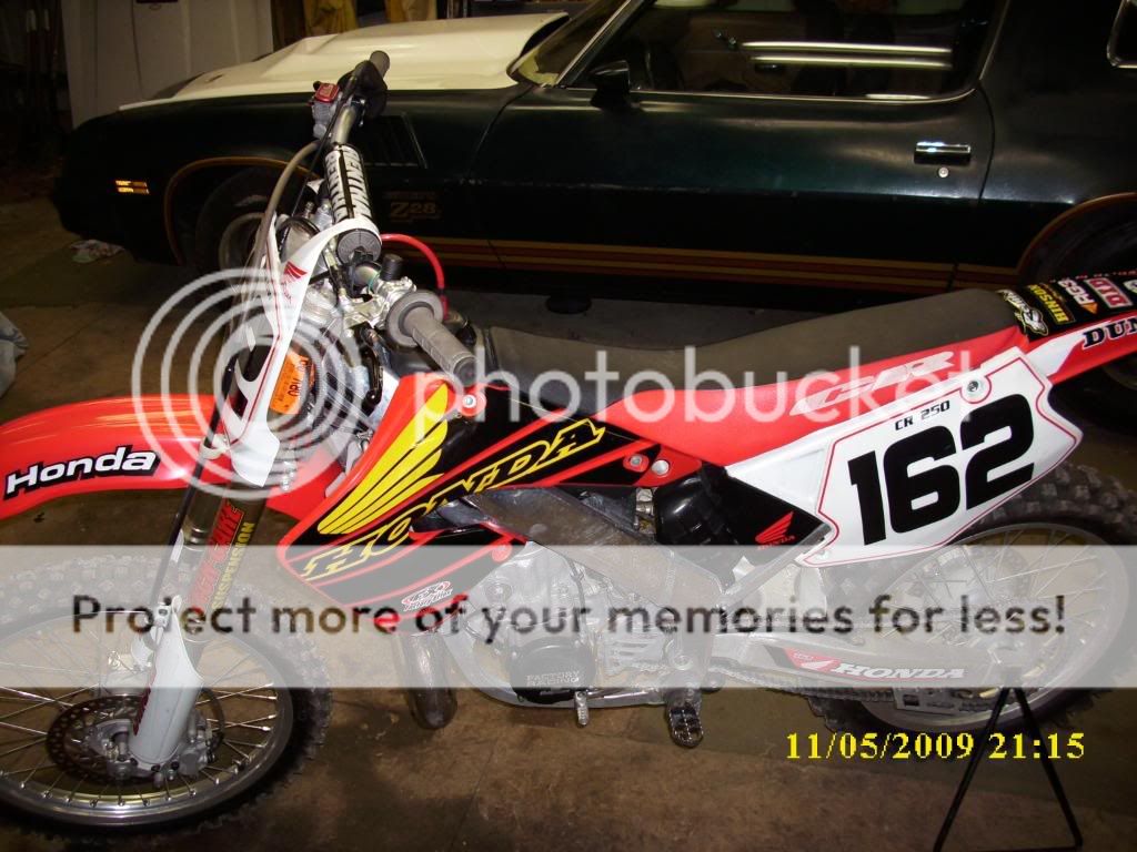 DSCI0384.jpg