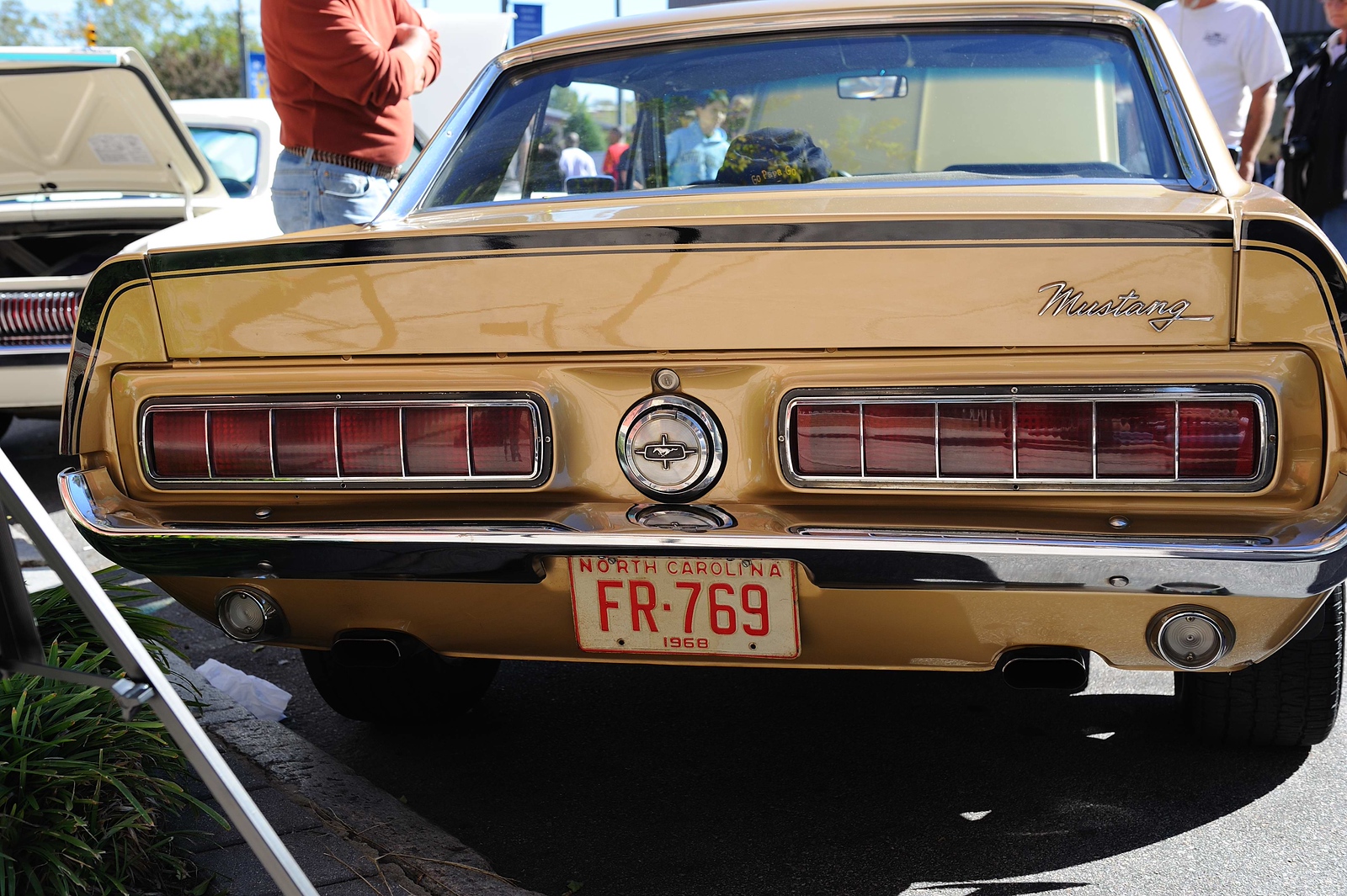 DSC0137-X3.jpg