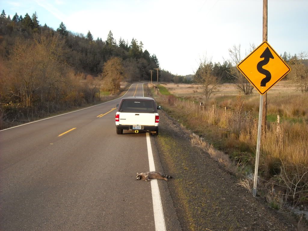 DSCN3401.jpg