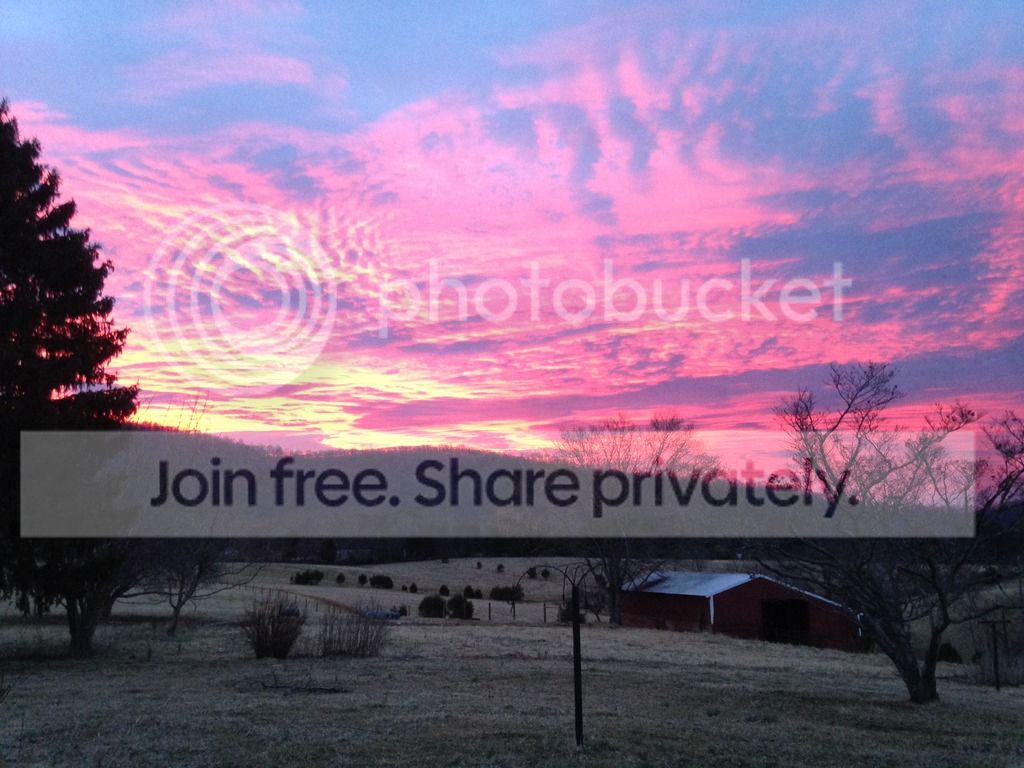 Koty's 91 Ranger Build Thread