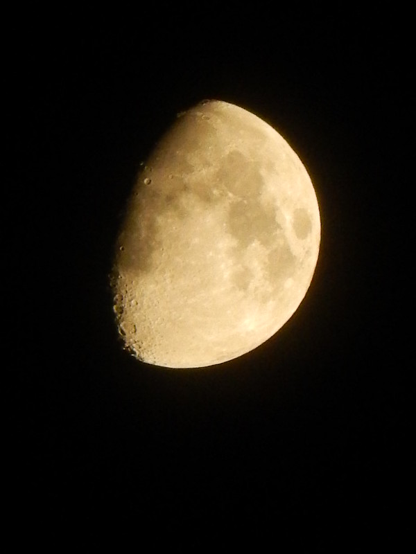 36326403985_69a01b5ba1_c.jpg