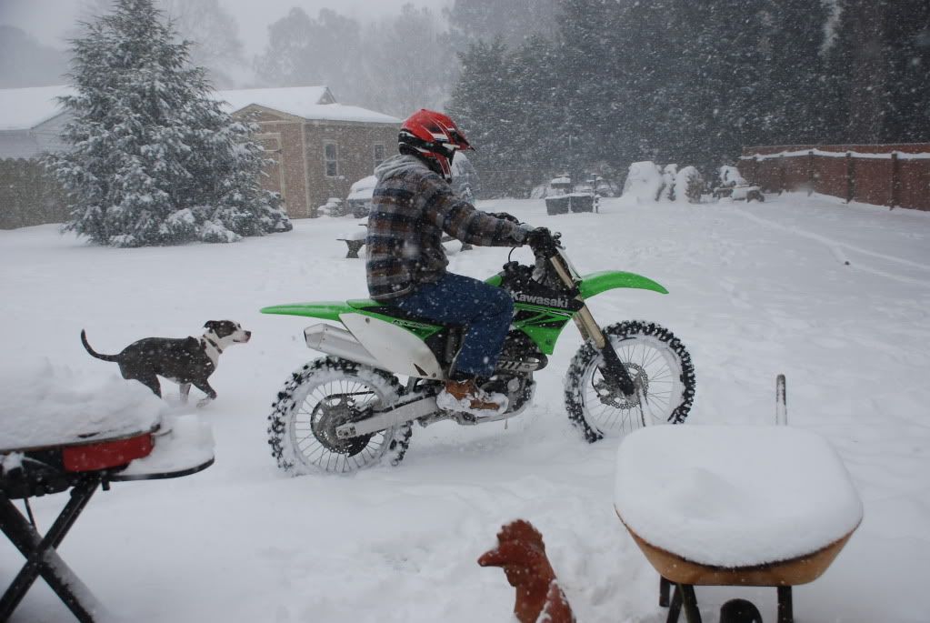 DSC_4582.jpg