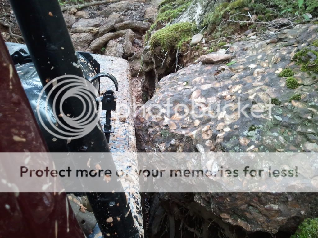 2011-04-23094855.jpg