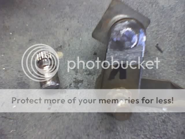 1229745793.jpg