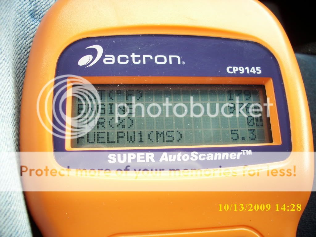DSCI0239.jpg