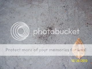 FAST Fabrication 94 b4000 turn into SNORE class 7 race truck build thread