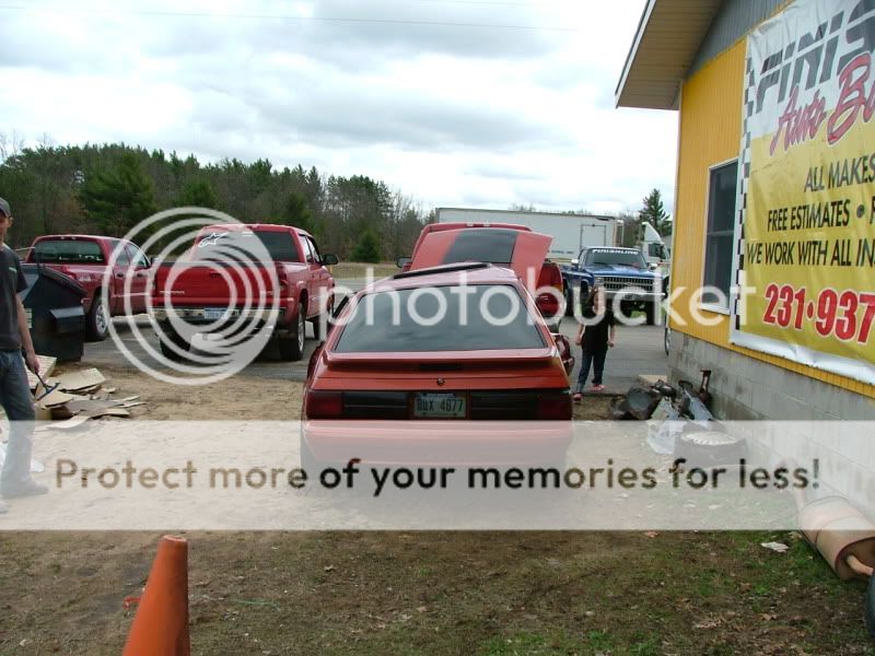 mustang037.jpg