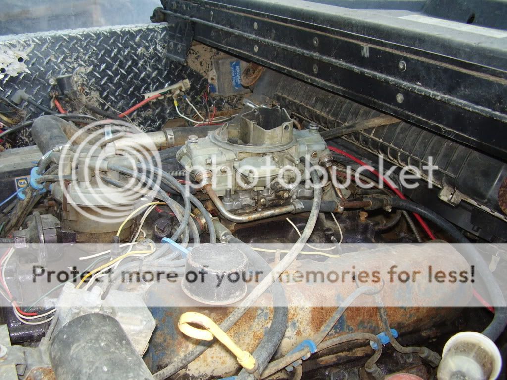 bronco2012.jpg