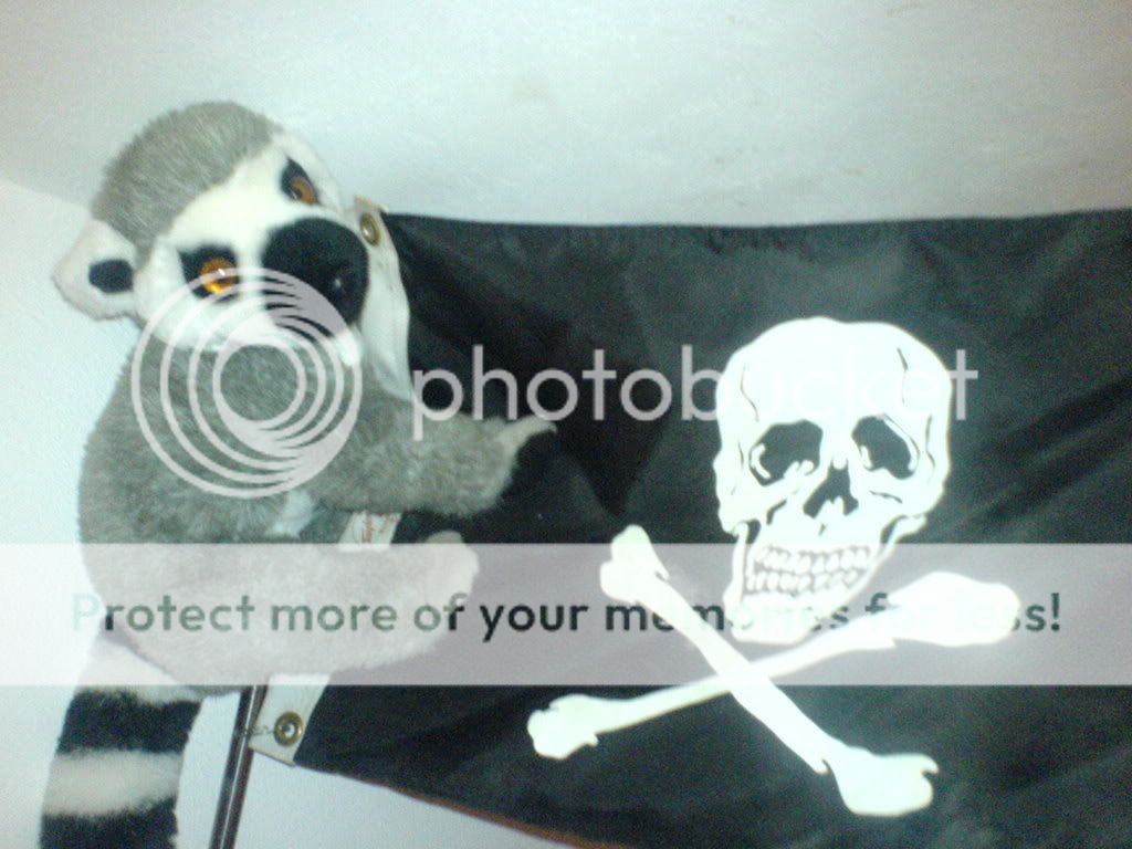DSC00344.jpg