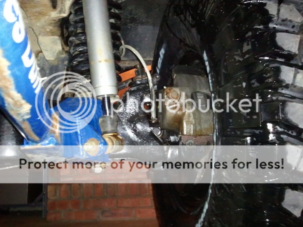 2011-03-16205059.jpg