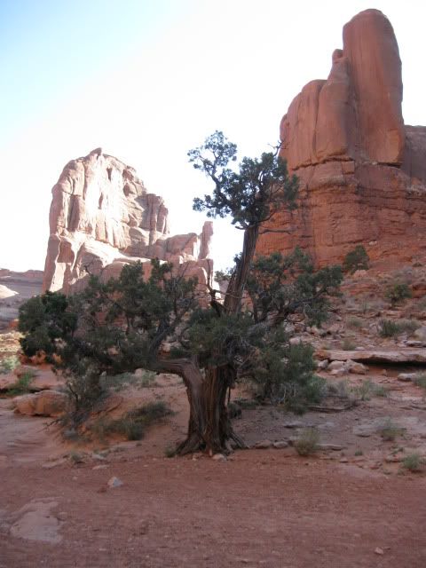 Arches048.jpg