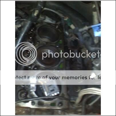 gasket2.jpg