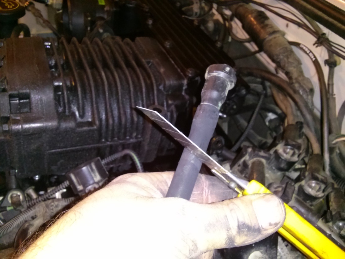 4LV6CologneInstall-89.jpg