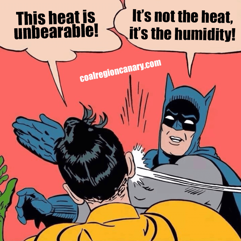 It's Not Just the Heat, It's the Humidity - Too Hot Memes - Coal Region  Canary