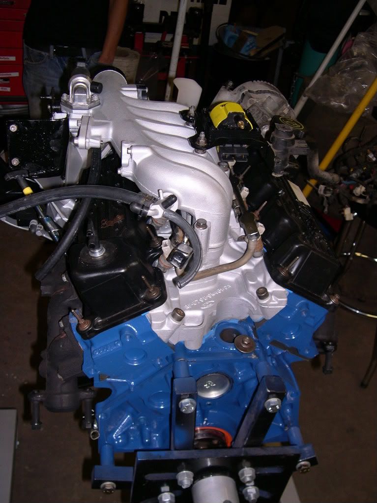Sept20081494.jpg