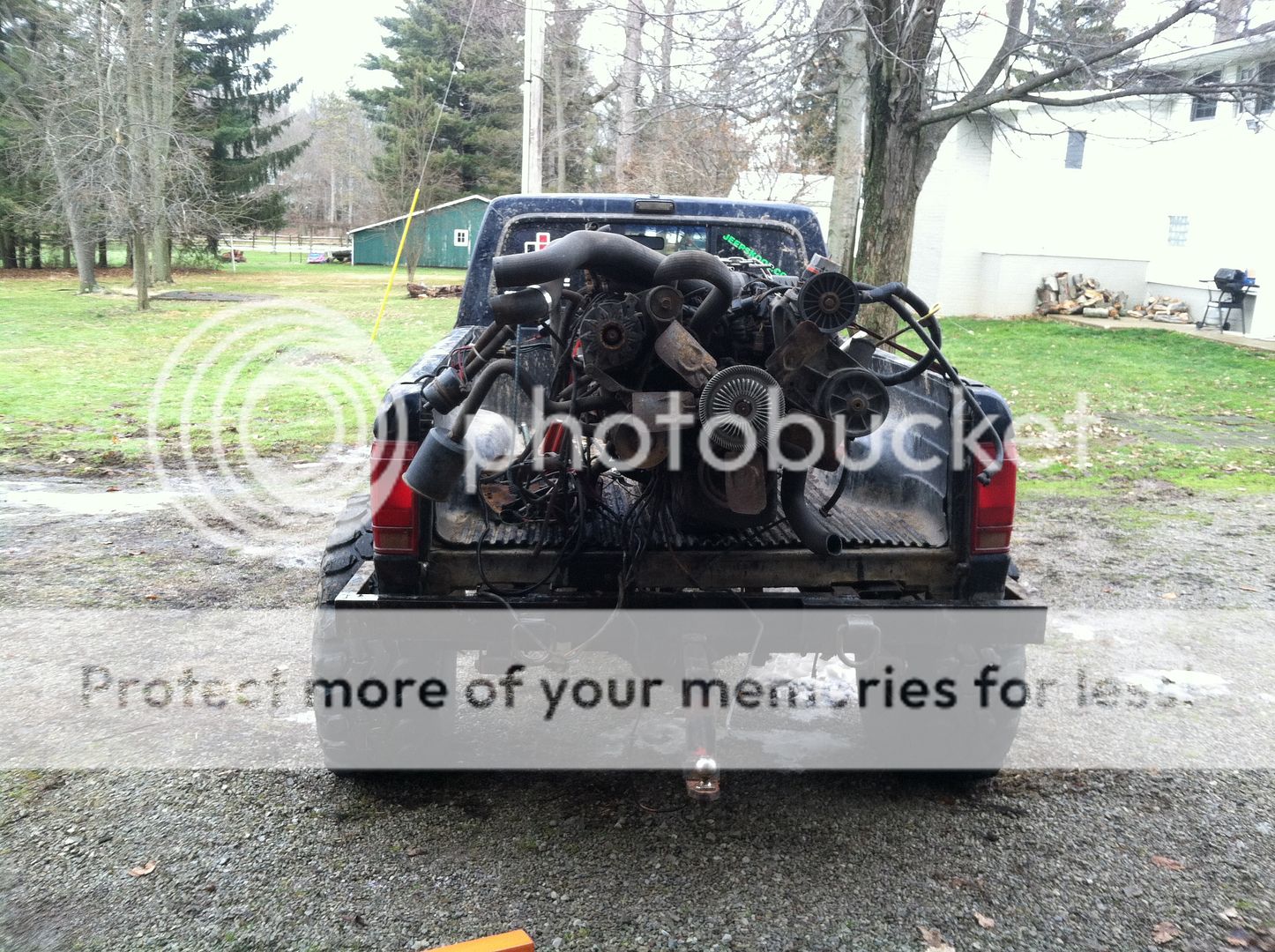 PhotoJan1212615PM_zps76711cff.jpg