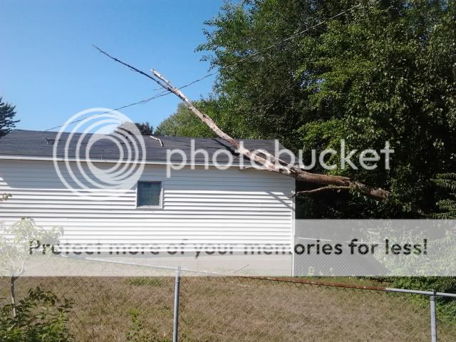 2012-08-07165612.jpg