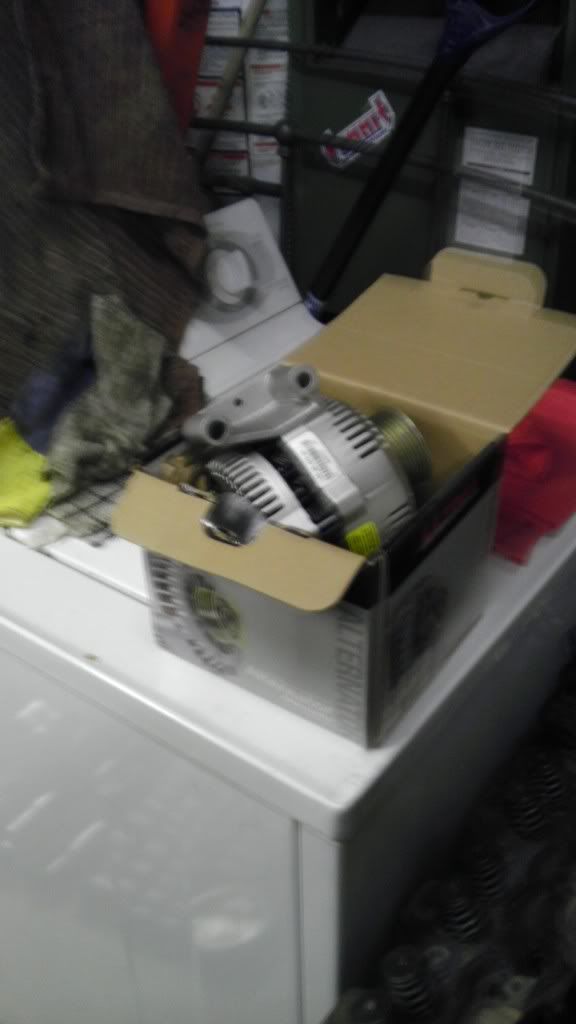 IMAG0257.jpg