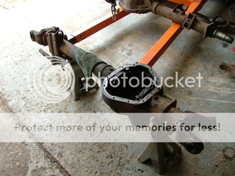 dana60001.jpg