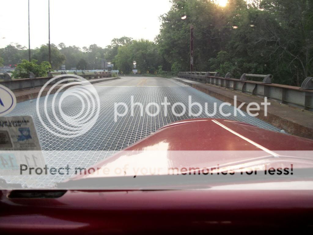 101_1425_zps2bb7111e.jpg