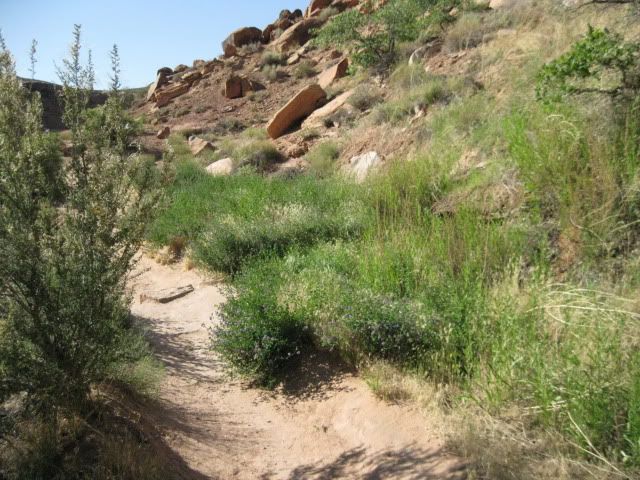 MondayNegroTrail001.jpg