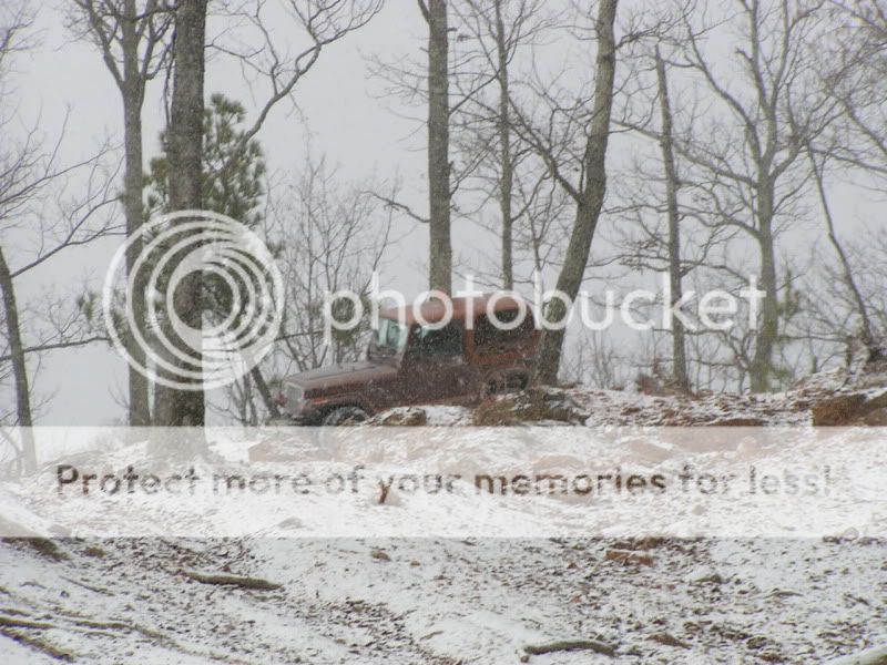 Dec122010039.jpg