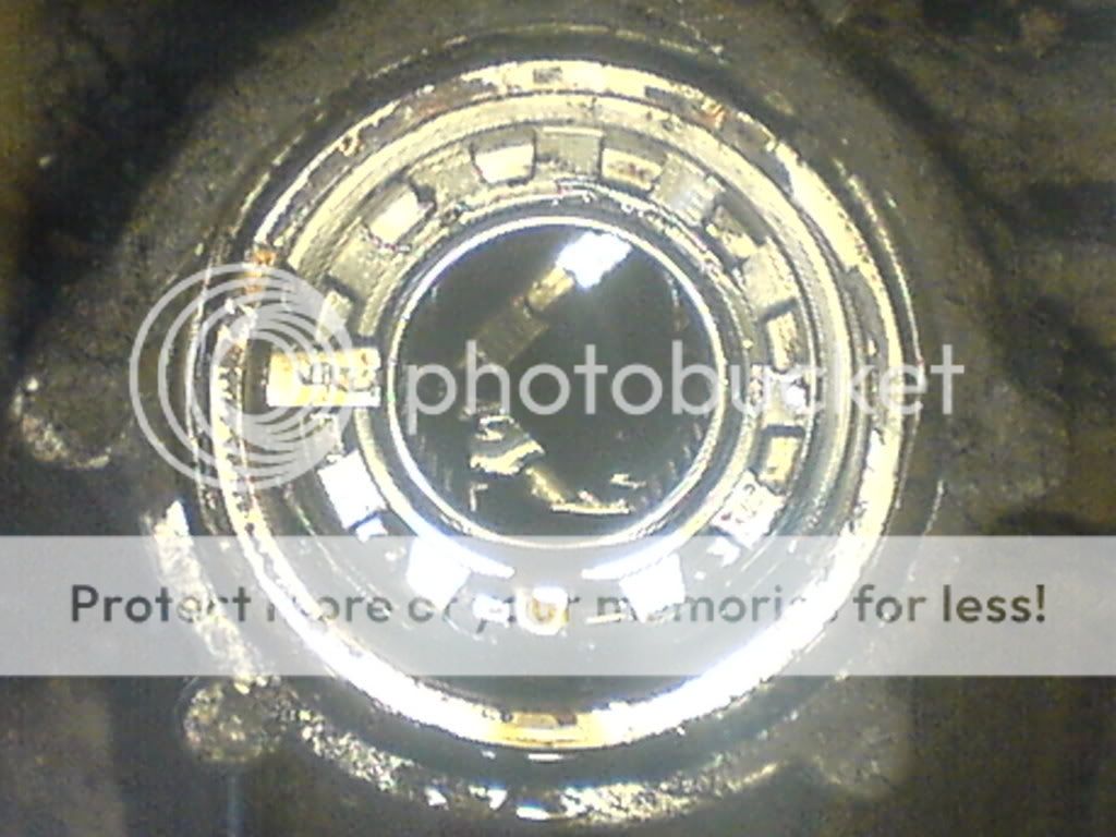 DSC00143.jpg