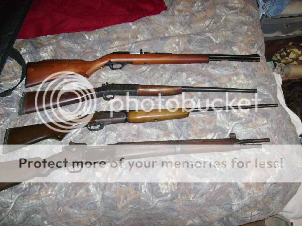collection007.jpg