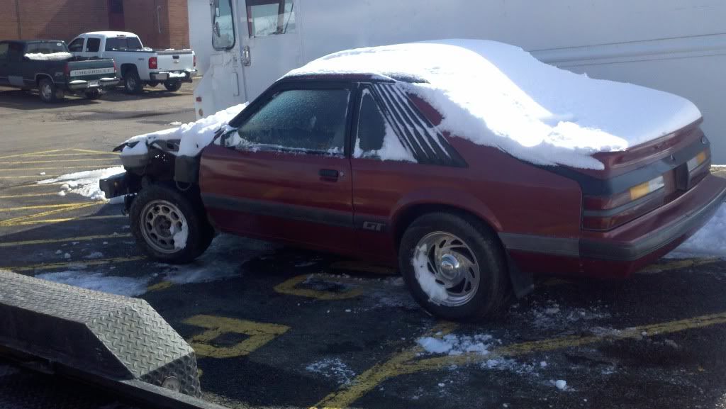 mustang142.jpg