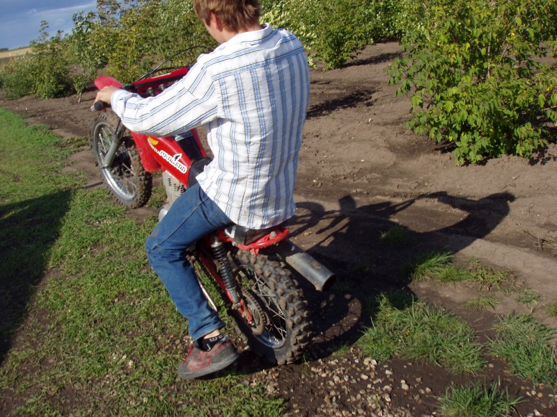 pbpic2454119.jpg