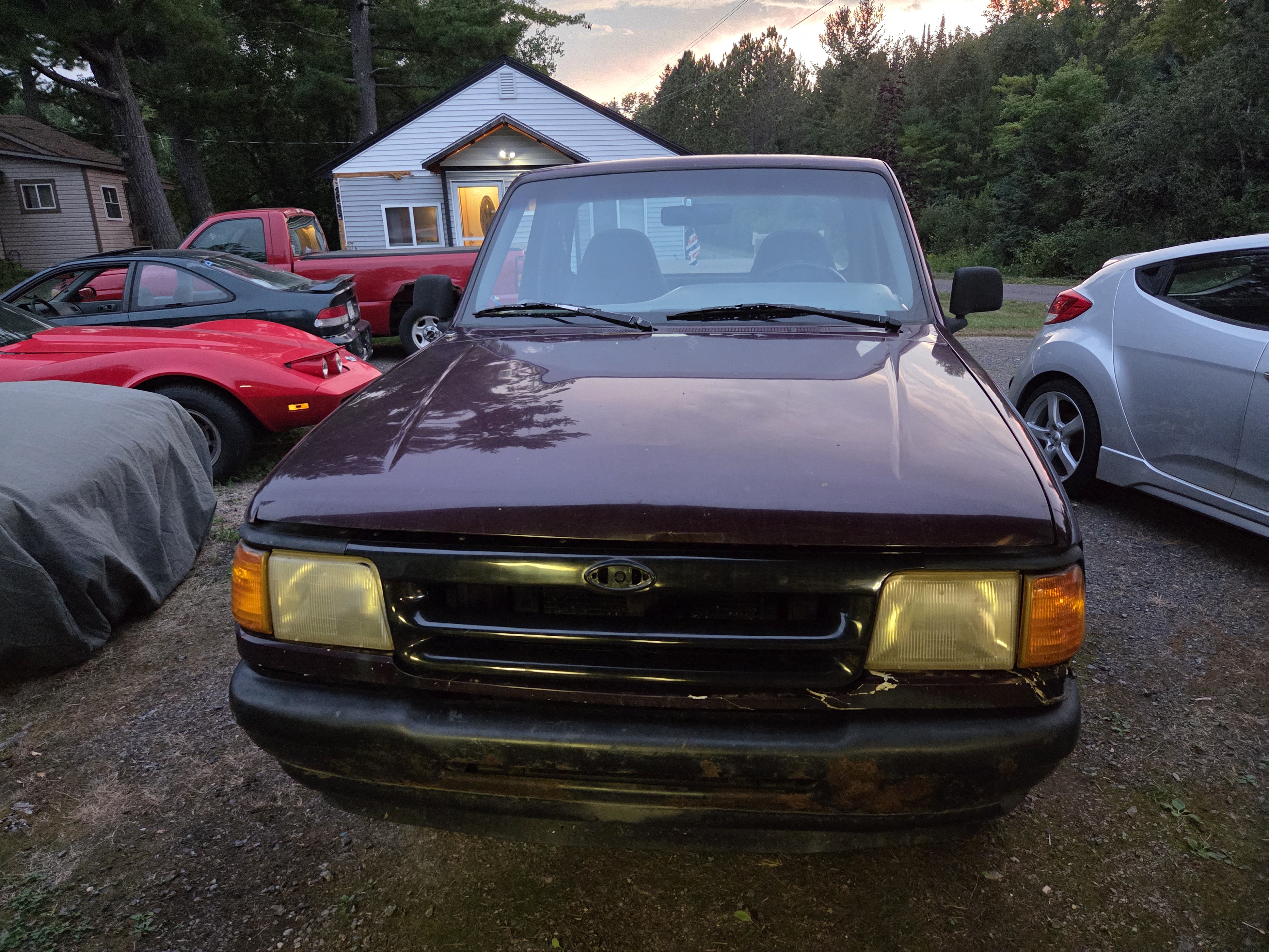 '94 XL Sport - Dark Plum