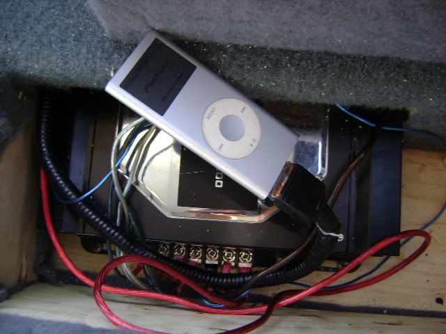 003-11.jpg