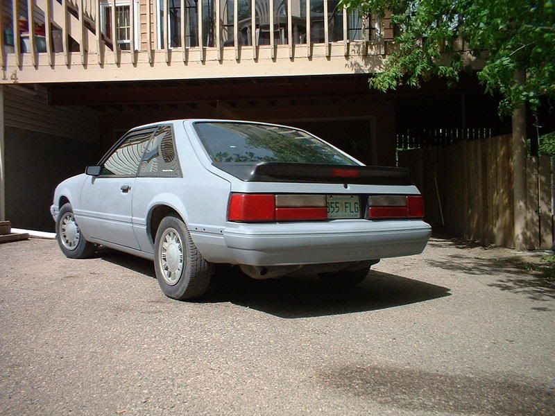 newcar002.jpg