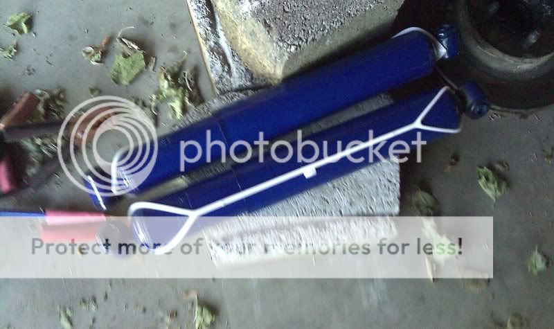 IMAG0013.jpg
