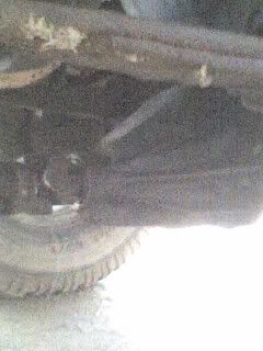 031908_0756b.jpg