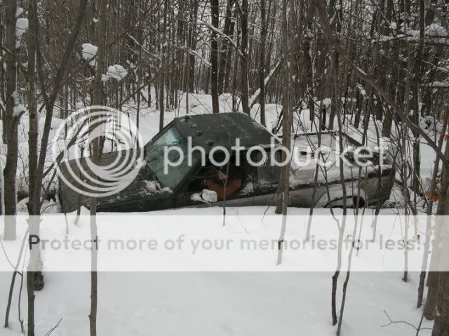 winter5.jpg