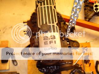 PICT0115.jpg