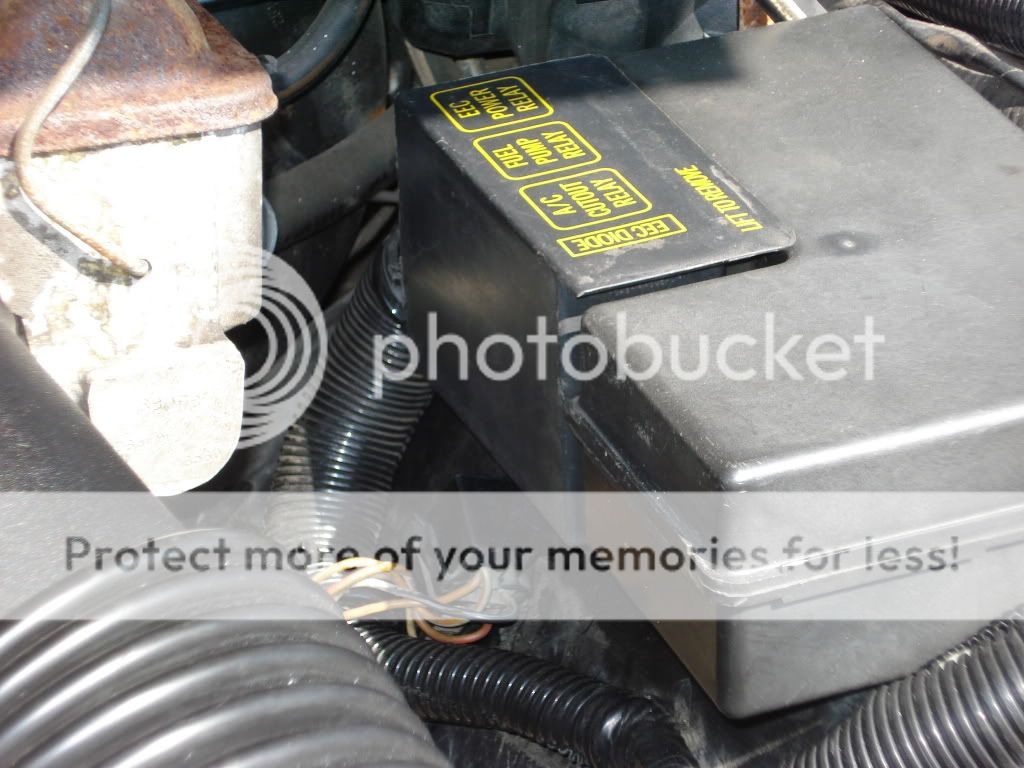 DSC04266.jpg