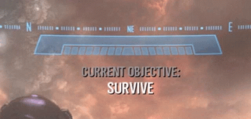 meme-objective-survive.gif