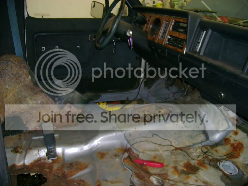 In like a lamb out like a lion!