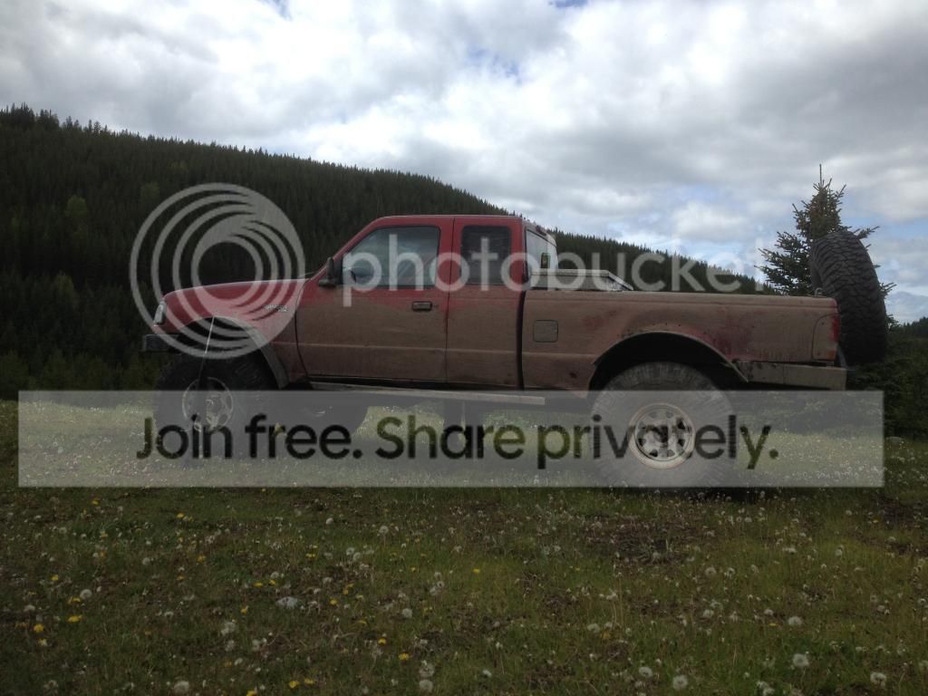 hockeyryans ranger build