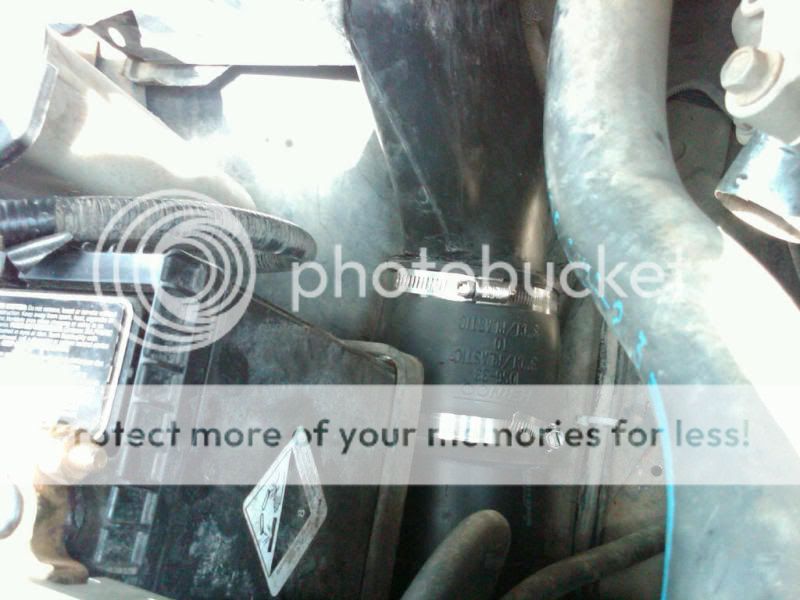 IMG00273-20100723-1254.jpg