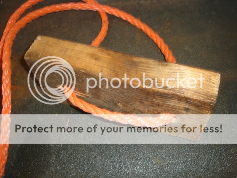 7-29-09009.jpg
