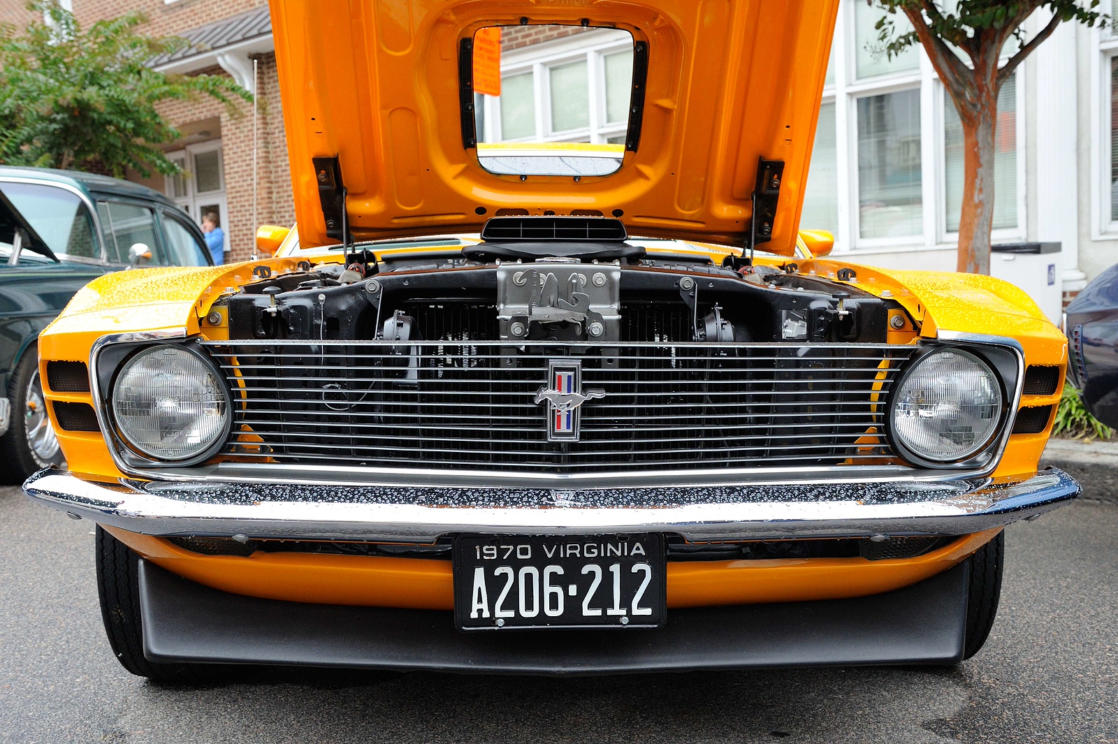 DSC_00065-X3.jpg