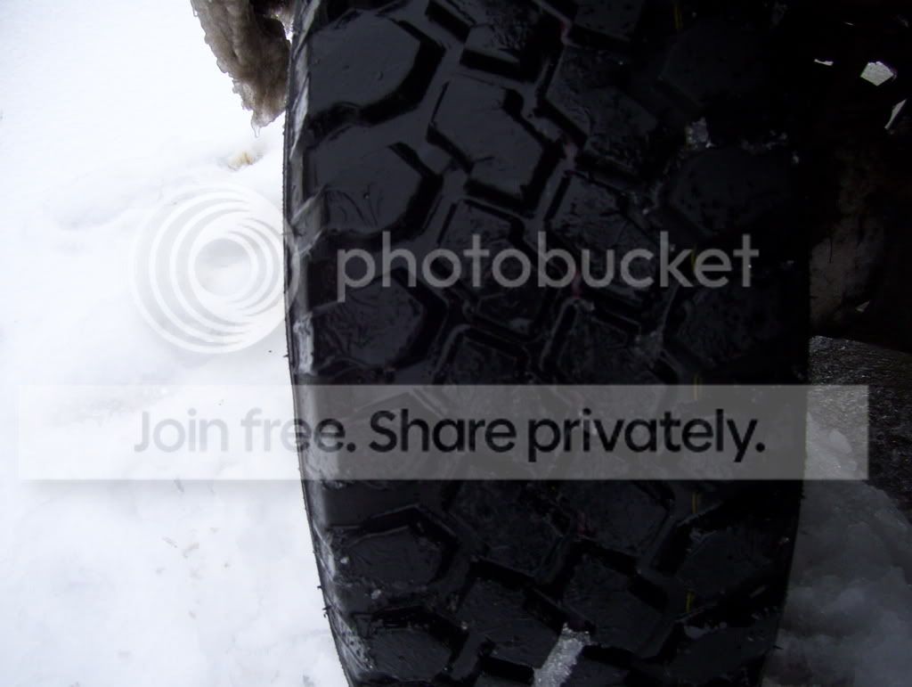 pics of the winter wonderland