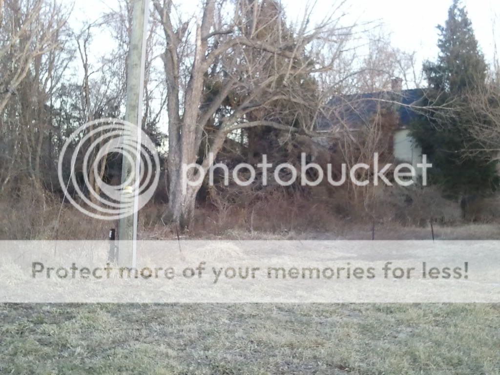 2011-02-15171924.jpg