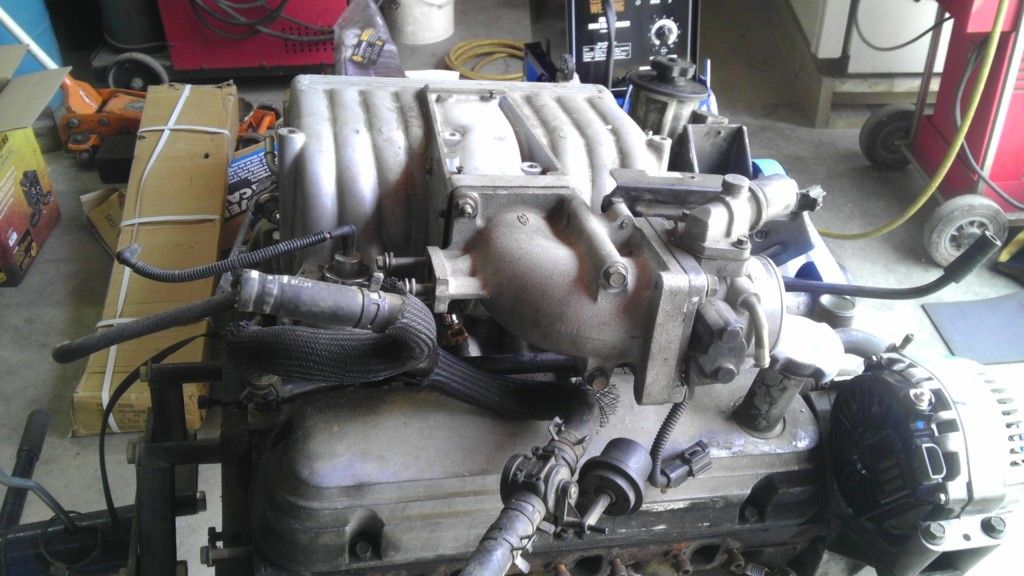 IMAG0542.jpg