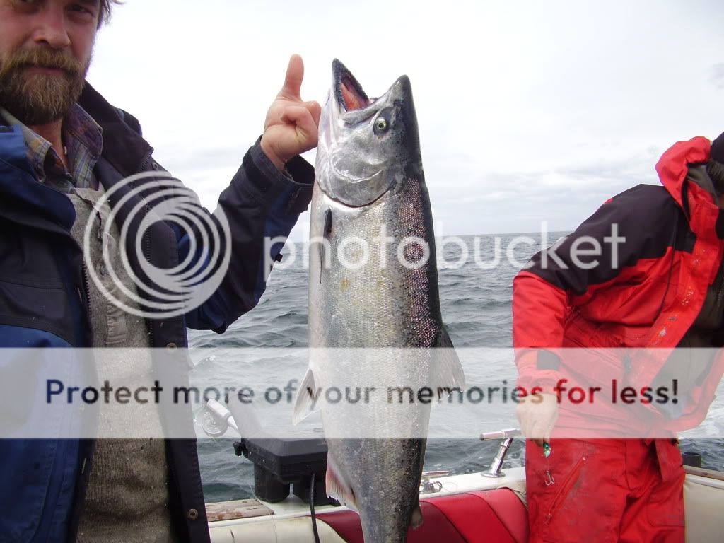 fish023.jpg